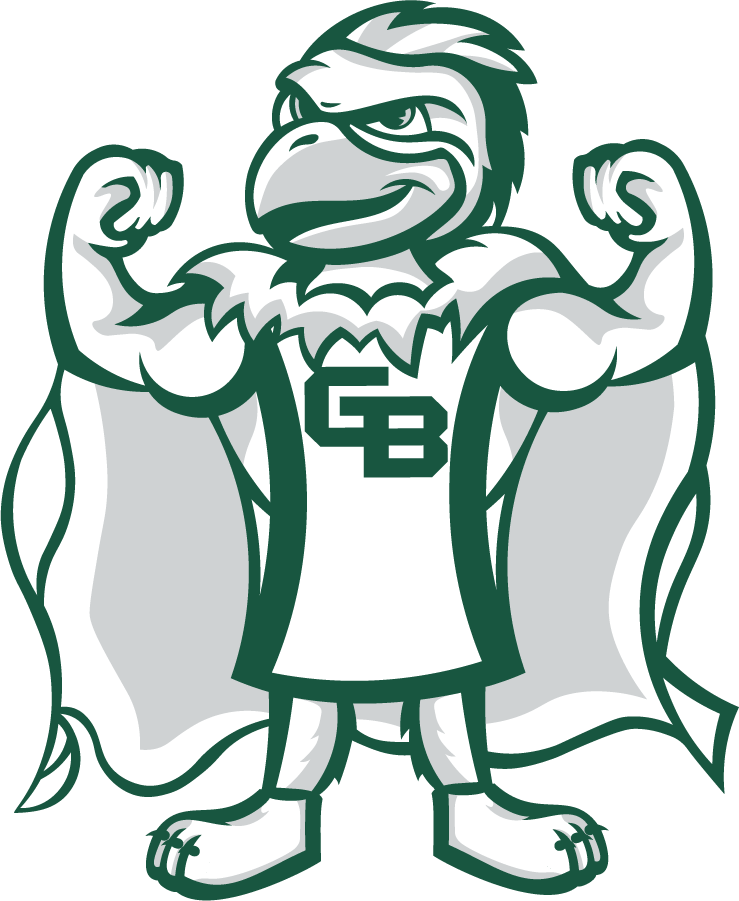 Wisconsin-Green Bay Phoenix 2020-Pres Mascot Logo v5 diy iron on heat transfer